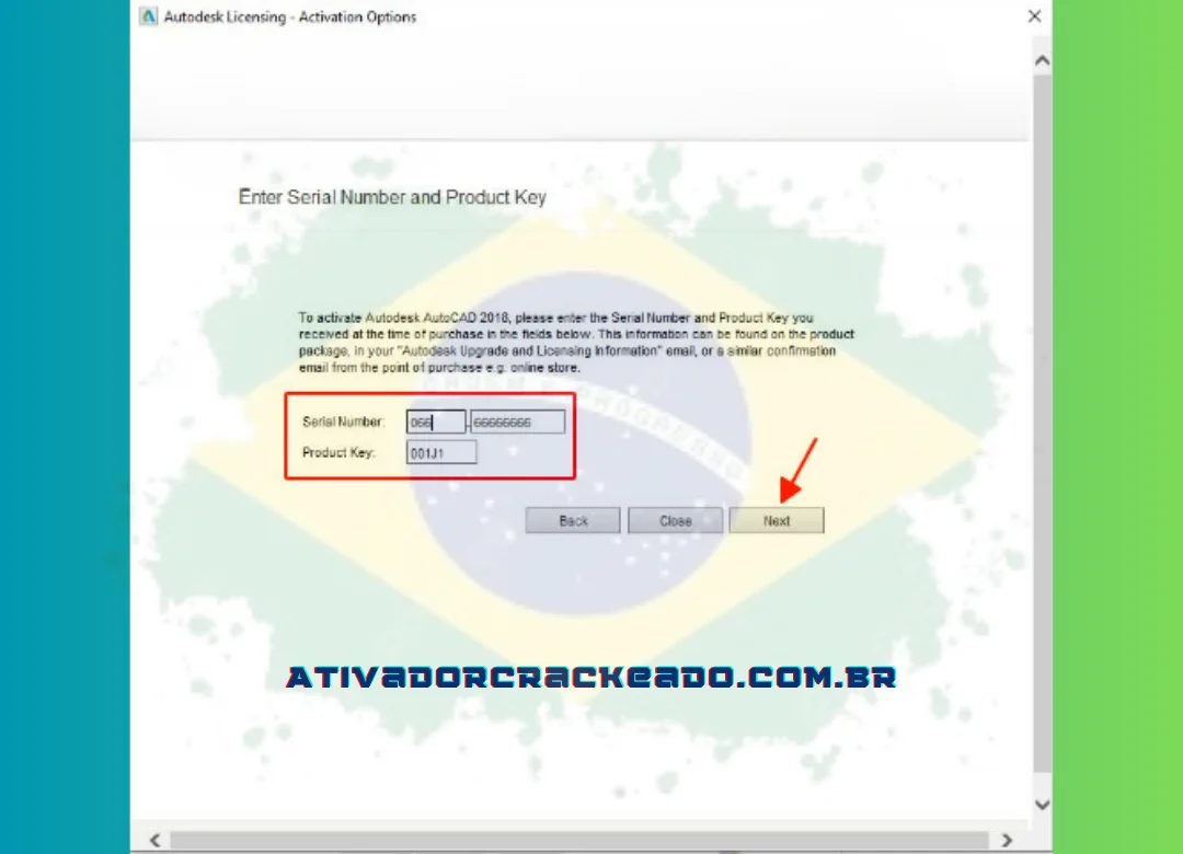 Selecione PRÓXIMO depois de inserir um dos seguintes números de série 666-6969696969, 066-66666666, 667-98989898 ou 400-45454545