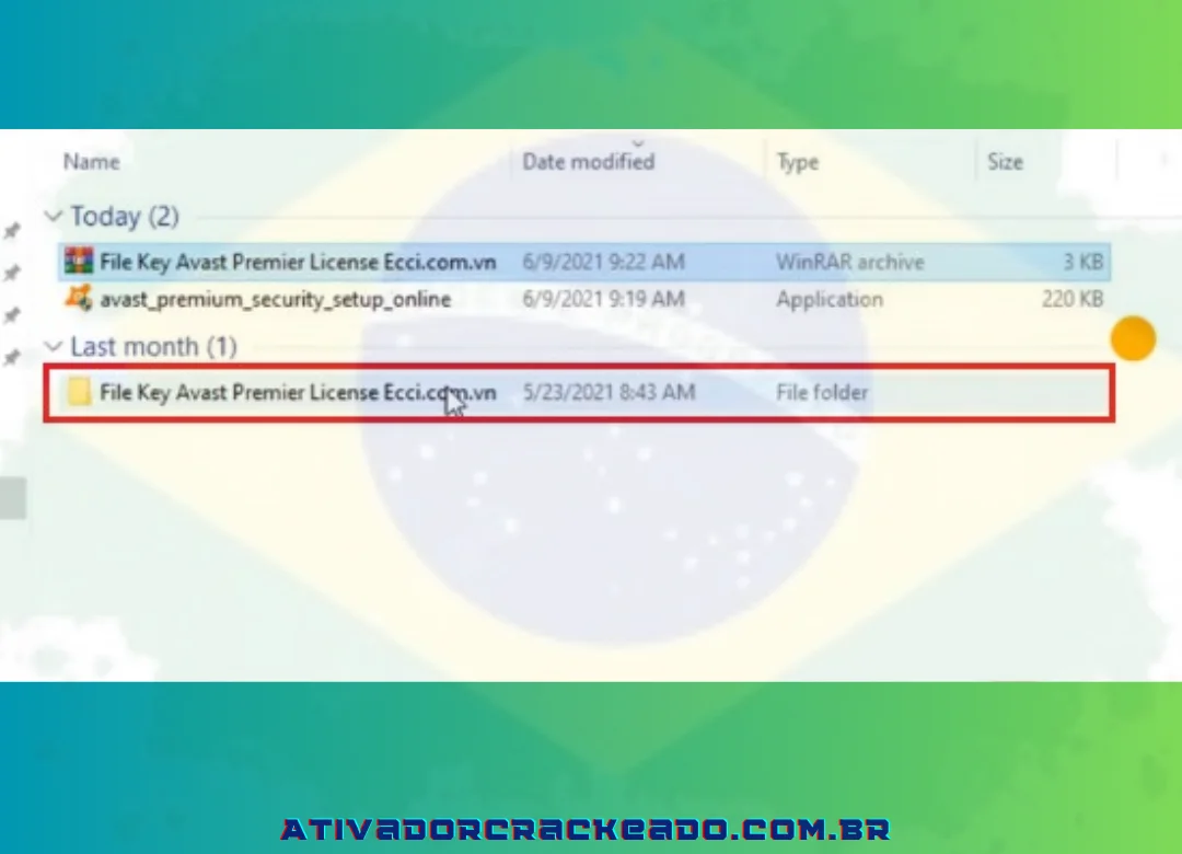 Arquivo de chave de licença de segurança Avast Premium foi extraído. Abra.
