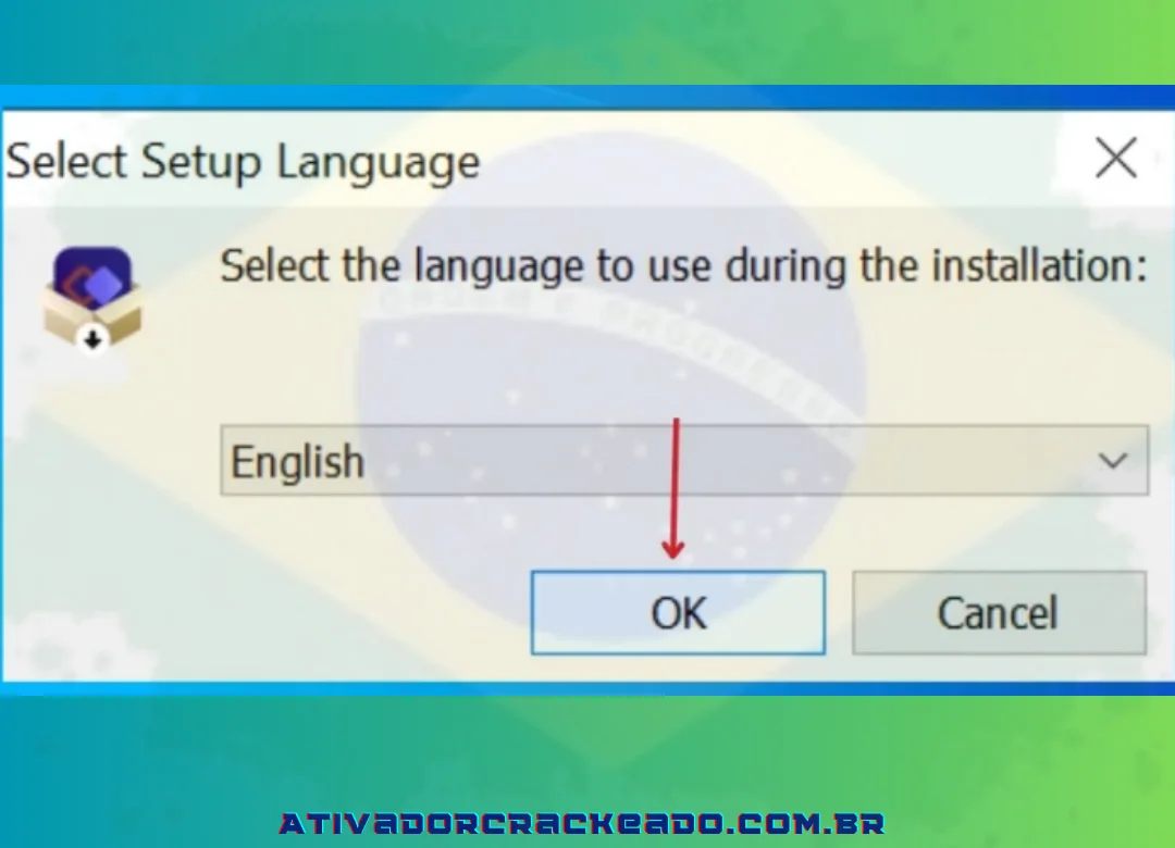 Clique em 'OK' após escolher o idioma do programa.