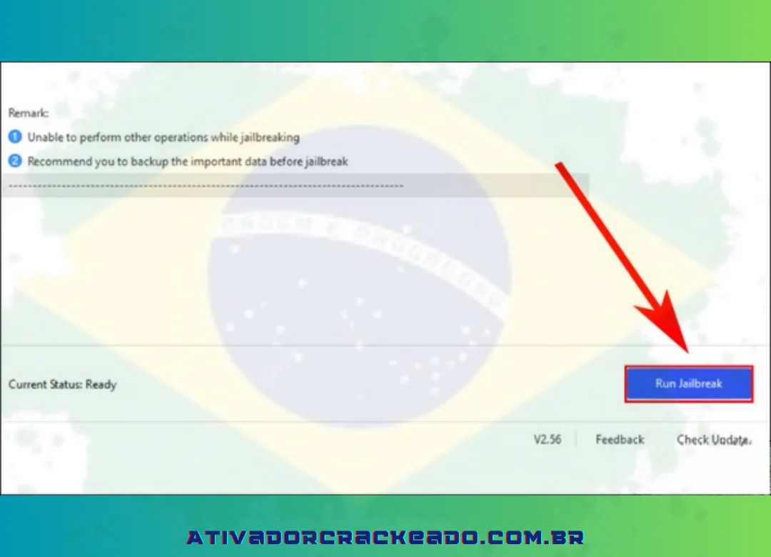 Para acessar e gerenciar totalmente o seu telefone, escolha Executar Jailbreak para permitir que você faça alterações significativas no sistema.