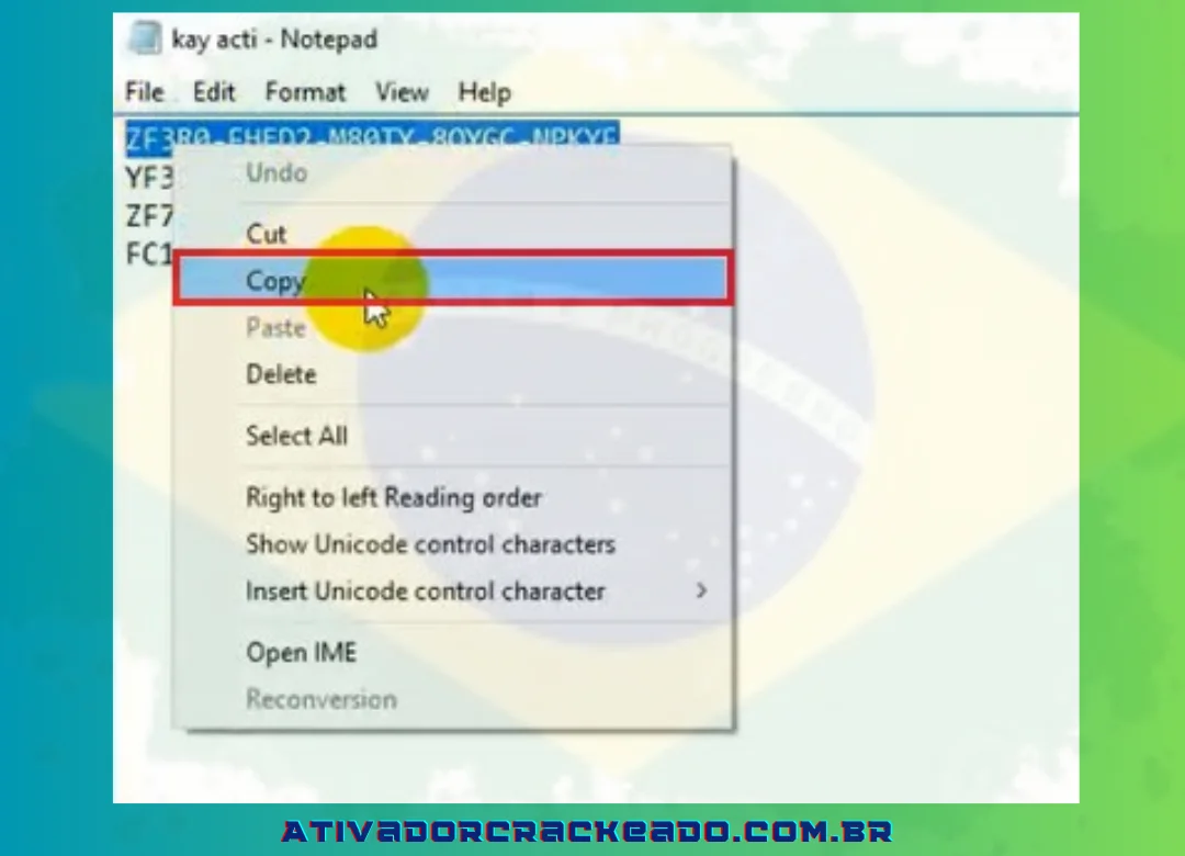Selecione uma chave entre as opções oferecidas aqui ou as chaves fornecidas acima. - Escolha Copiar com um clique com o botão direito.