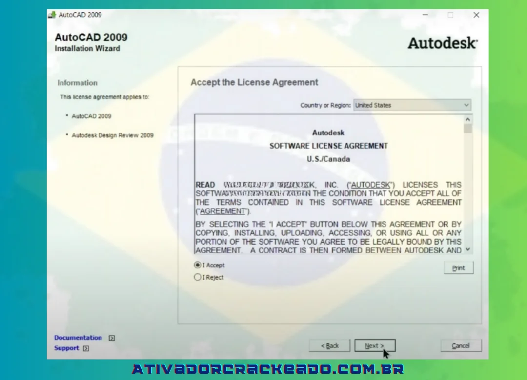 Ao ver Aceito, escolha-o e clique em Avançar para continuar.