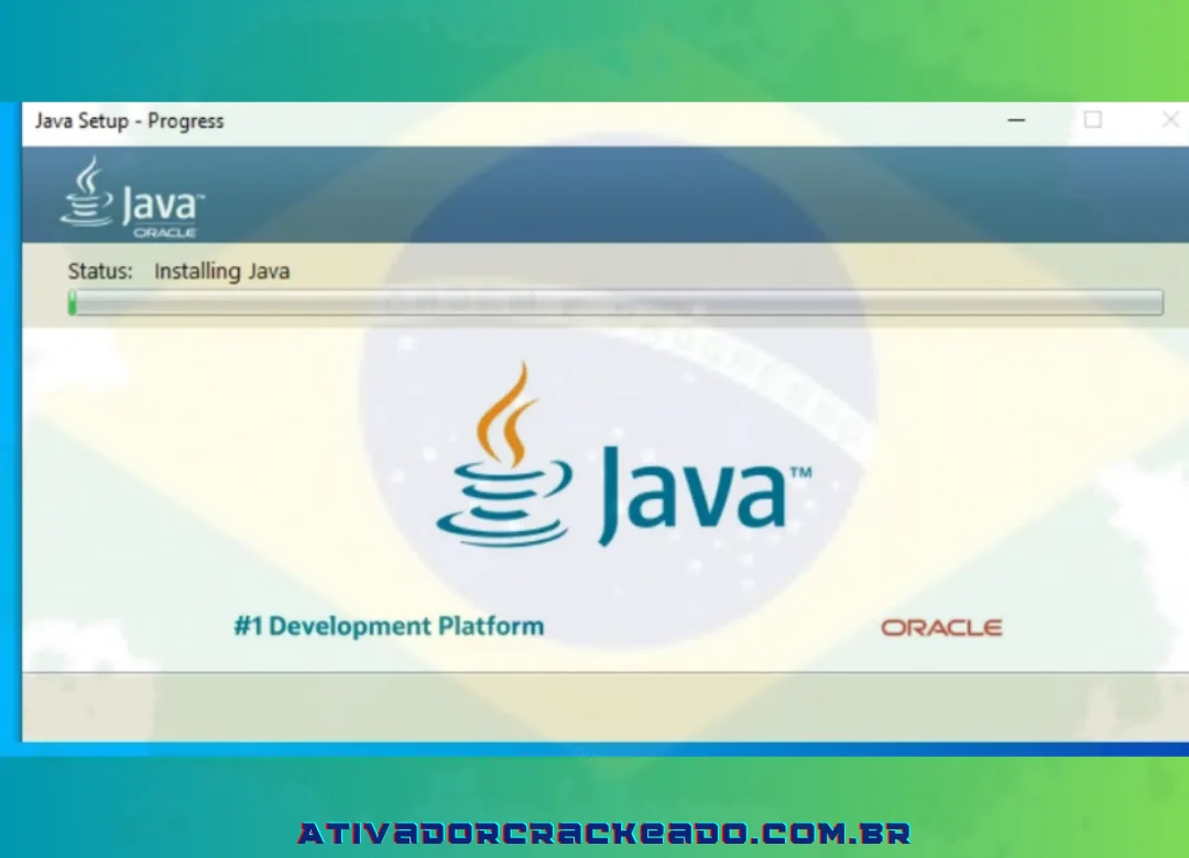 Depois disso, a instalação do Java será iniciada.