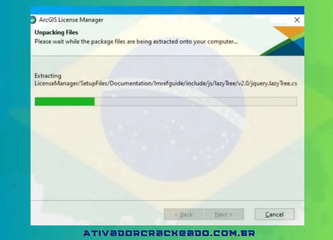 Depois disso, o License Manager será extraído em alguns segundos.