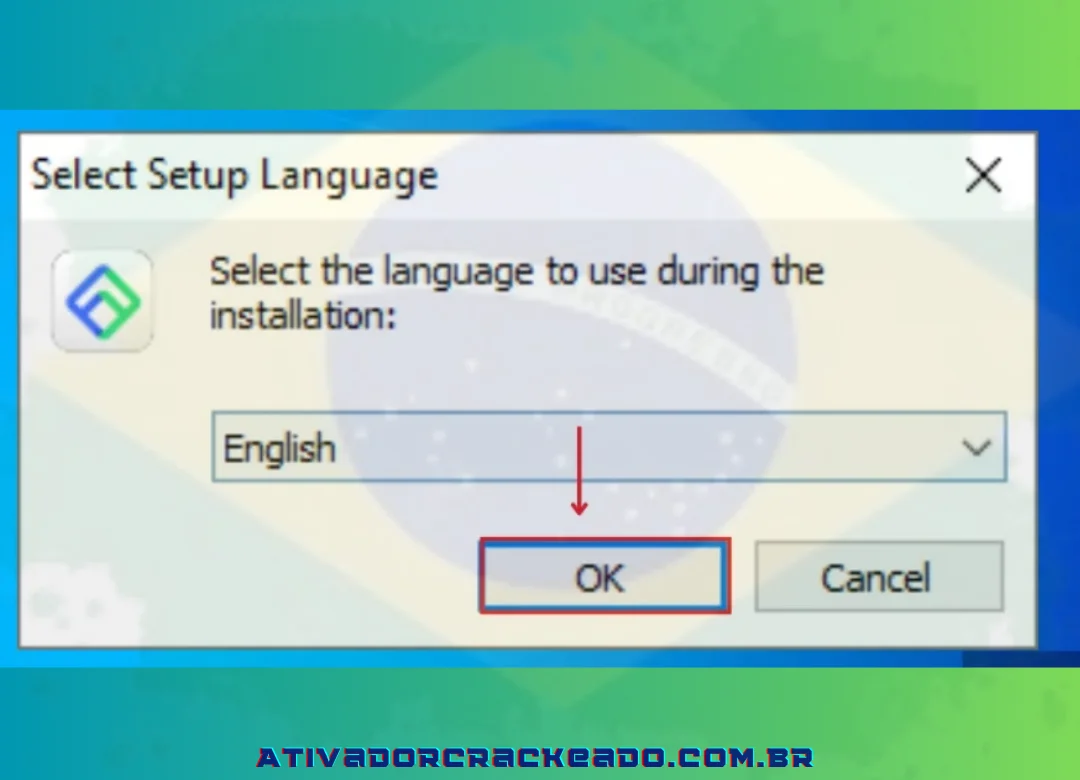 Depois disso, você deve selecionar o idioma do programa.