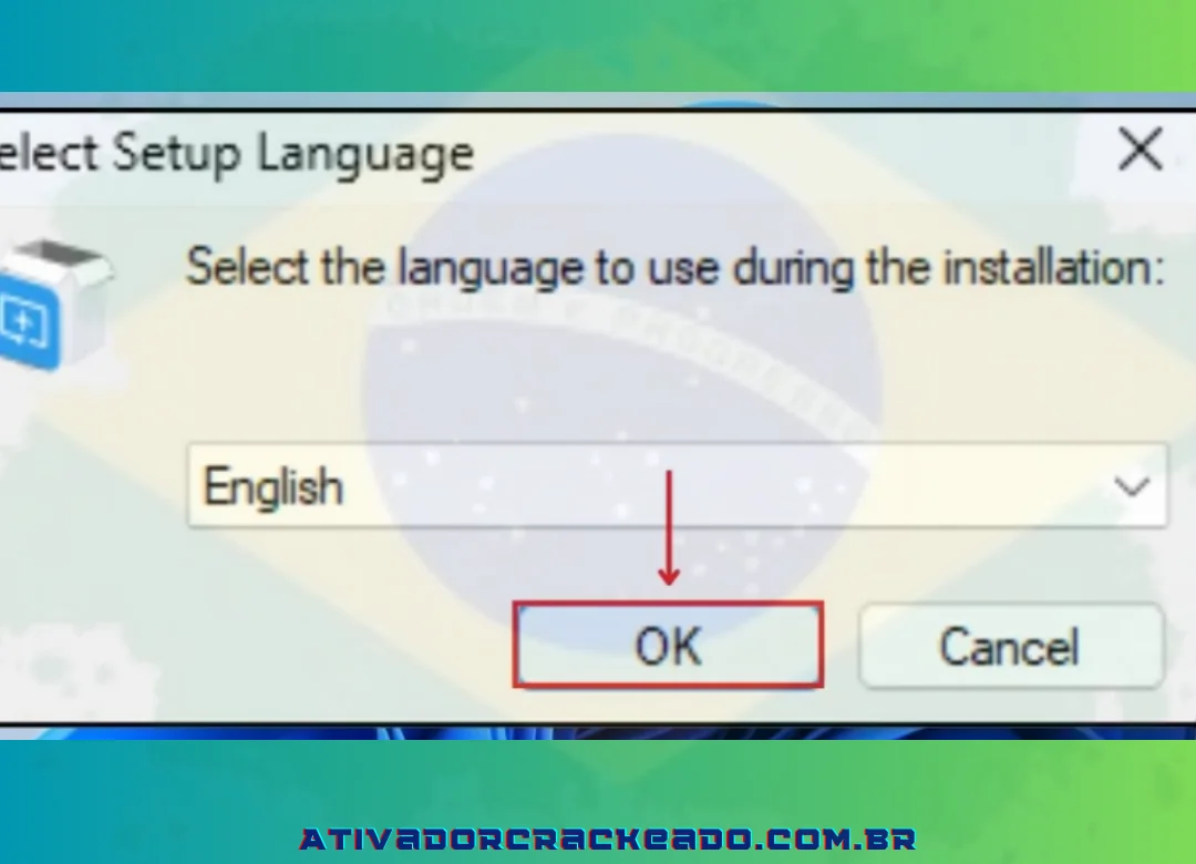 Em seguida, selecione o idioma para configuração.