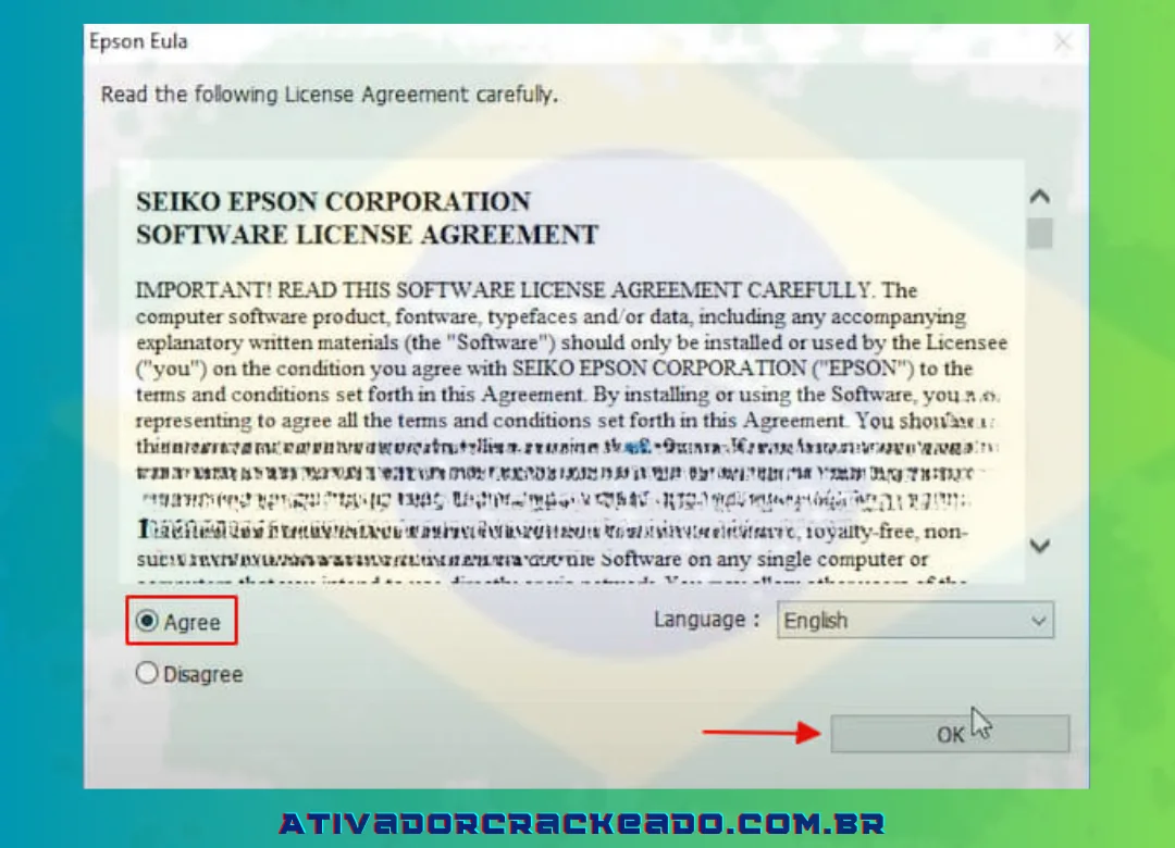 Para verificar a instalação do driver Epson L1800, escolha Concordo e clique em OK.