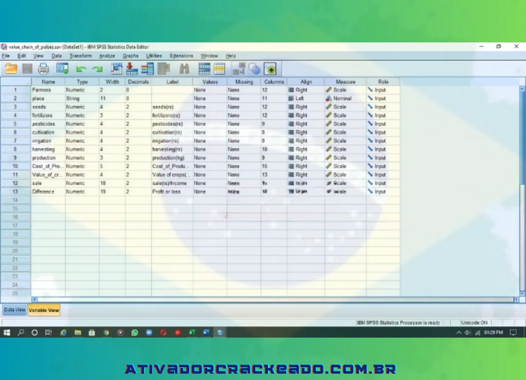 Profissionais e estudantes considerarão o software SPSS 25 uma opção ideal devido ao seu layout simples e fácil de usar.