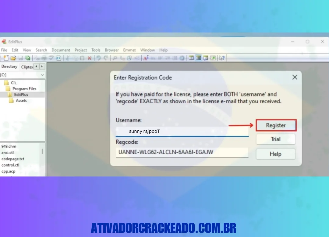 Agora, cole essas informações e clique em Register. Depois disso, você obterá a versão ativada.