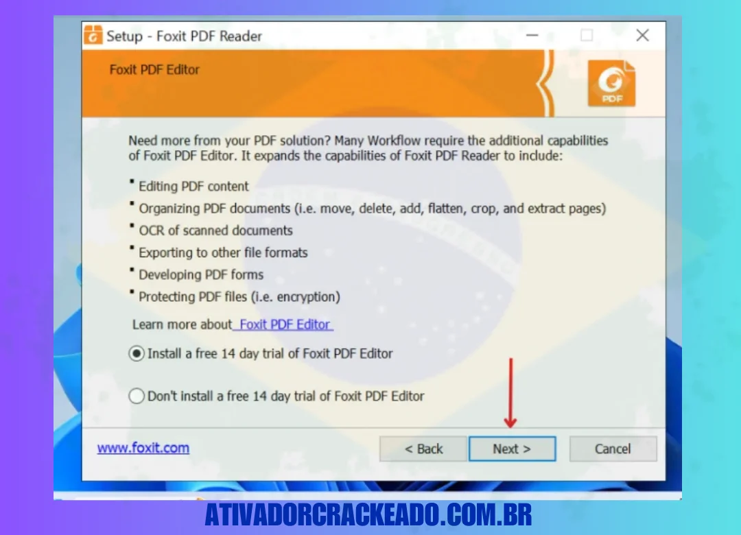 Agora você verá duas opções, selecione “Install a free 14-day trial of Foxit PDF Reader”. Então clique em “Next”.