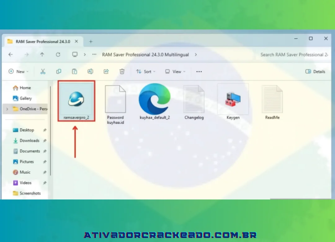 Como instalar o RAM Saver Professional Crackeado