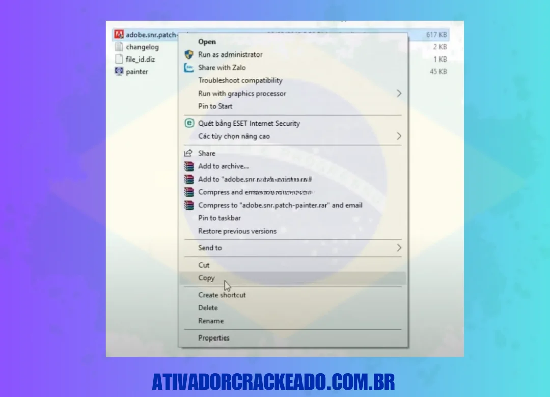 Copie o arquivo adobe.snr.patch-painter da pasta crack.