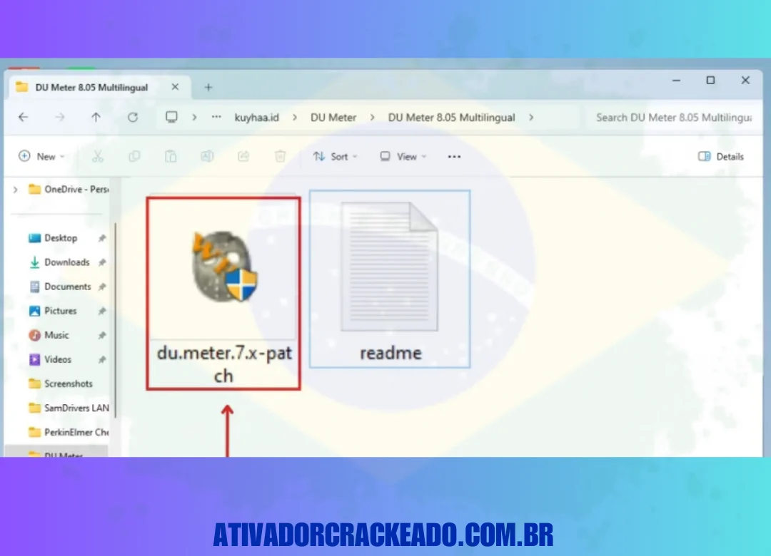 Copie o arquivo exe “ du.meter.7.x-patch ” disponível na pasta patch .
