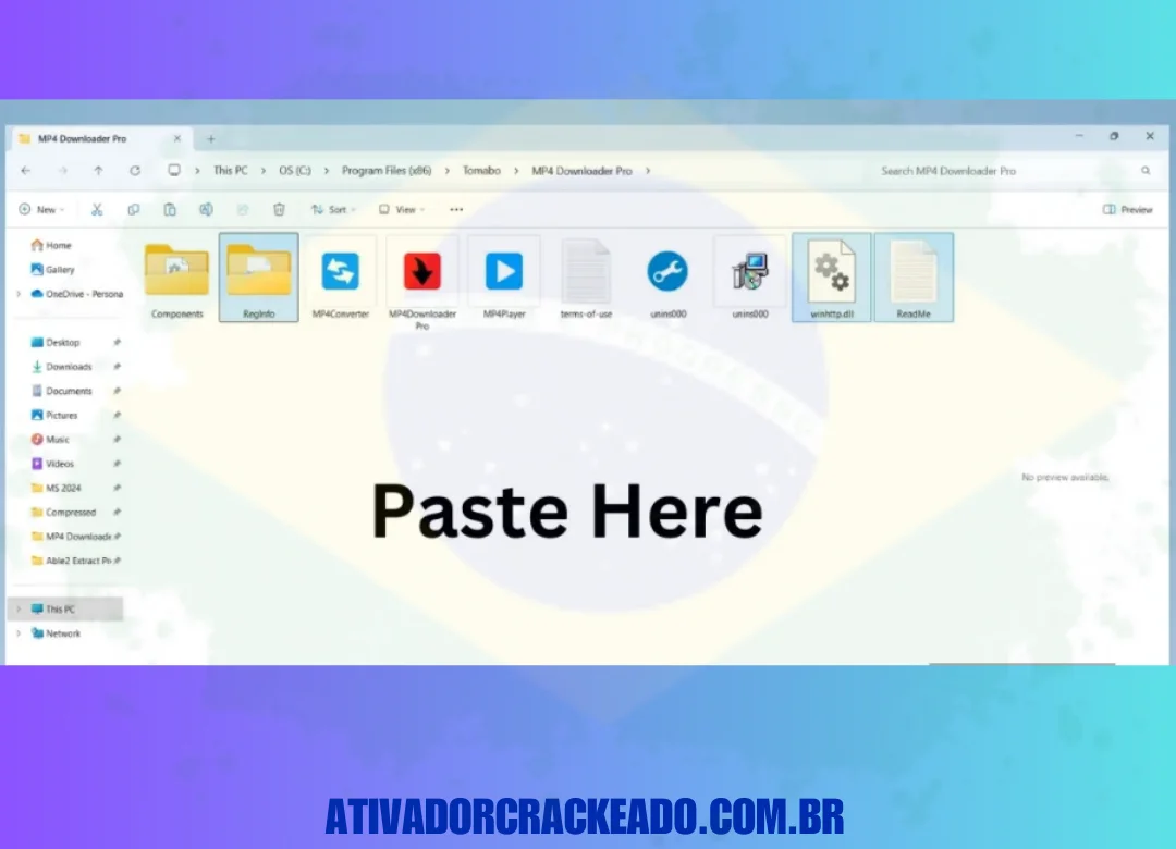 Depois de abrir a pasta “MP4 Downloader Pro”, cole os três arquivos que você copiou anteriormente nesta pasta.
