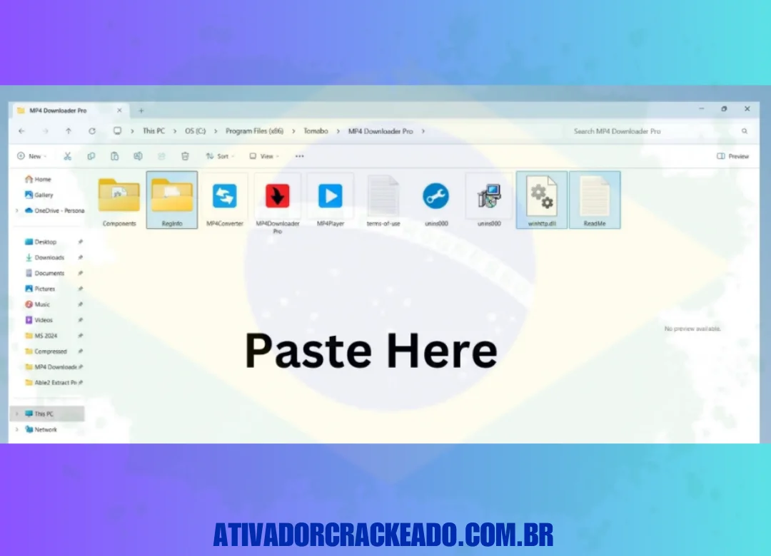 Depois de abrir a pasta “MP4 Downloader Pro”, cole os três arquivos que você copiou anteriormente nesta pasta.