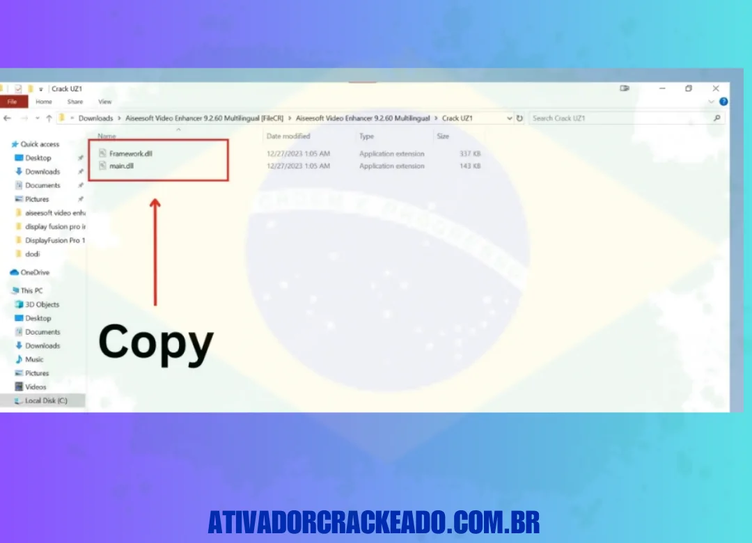 Depois de abrir a pasta, você encontrará dois arquivos dentro. Você precisa copiar esses arquivos e colá-los no diretório onde o software está instalado.