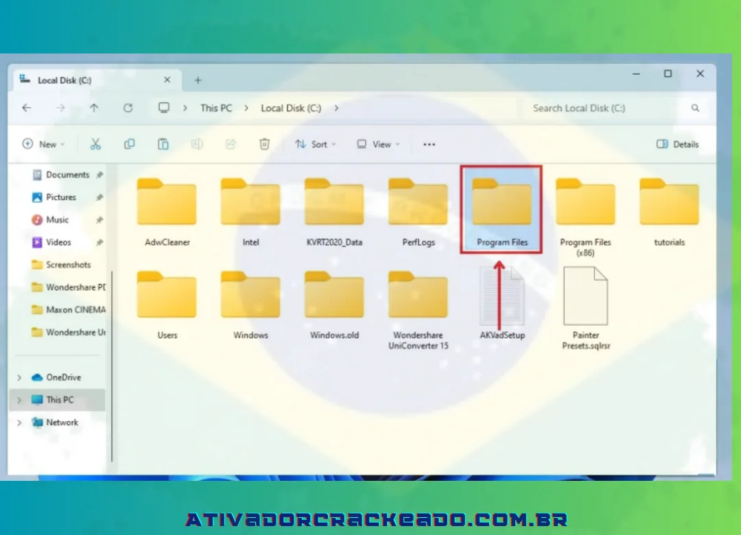 Depois disso, abra a pasta de arquivos de programas no disco local C.