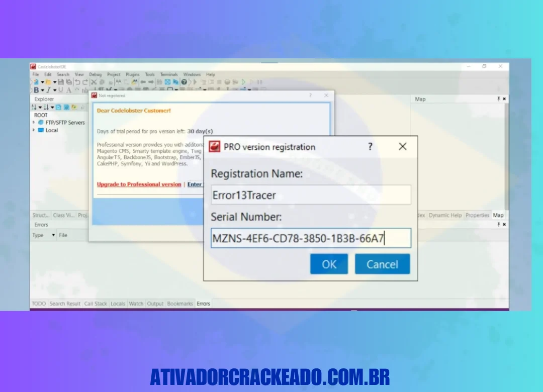 Depois disso, cole o nome de usuário e a chave serial que obtivemos do ativador e do Keygen e clique em 'OK'.