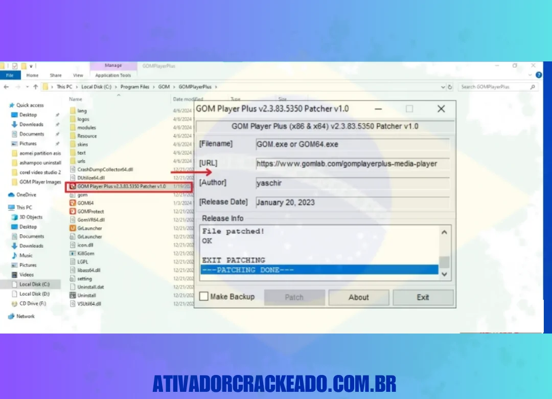 Depois disso, copie este arquivo patcher e cole-o na pasta onde este player está instalado.