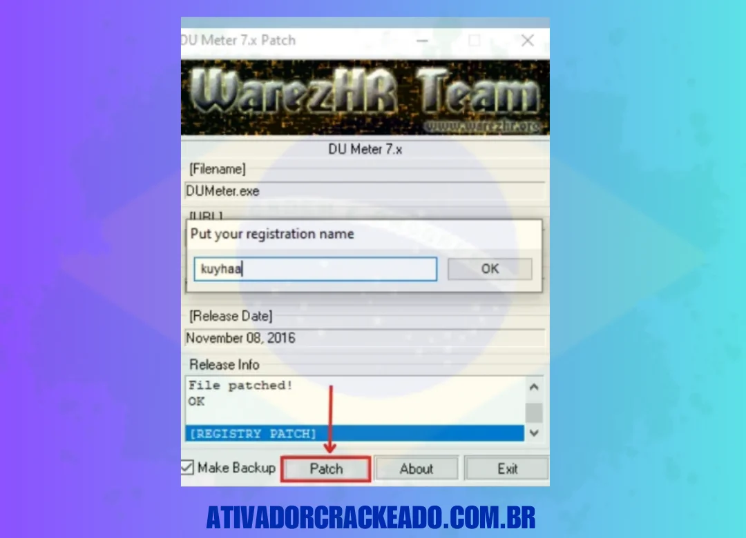 Depois disso, digite seu nome de registro e clique em Patch.