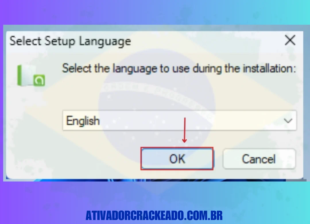 Depois disso, selecione o idioma de configuração do programa. Há muitos idiomas que você pode escolher, mas neste caso escolhemos inglês.