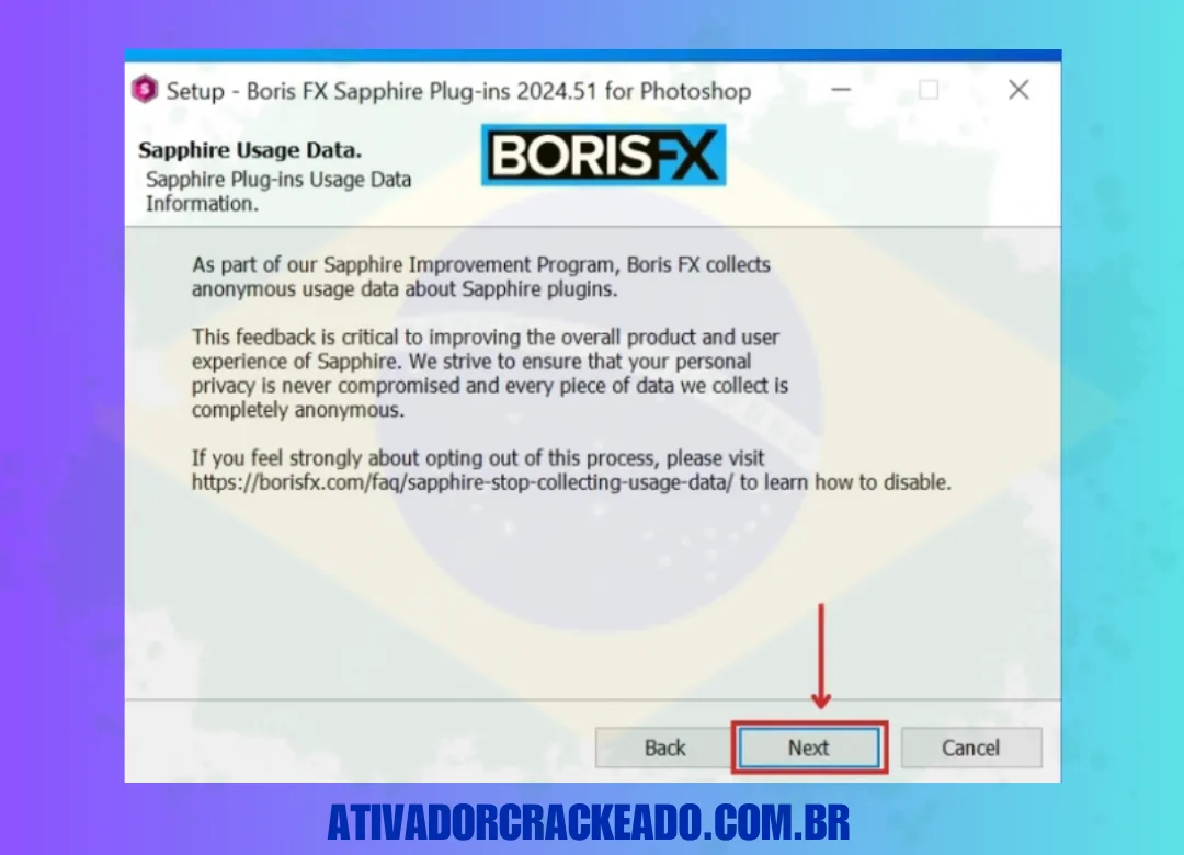 Depois disso, você pode revisar os dados de uso dos plug-ins Sapphire e, após lê-los, basta clicar em “próximo”.