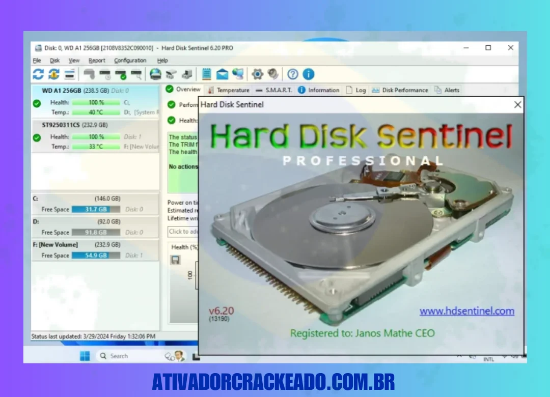 Depois disso, você pode ver a interface do Hard Disk Sentinel Pro.