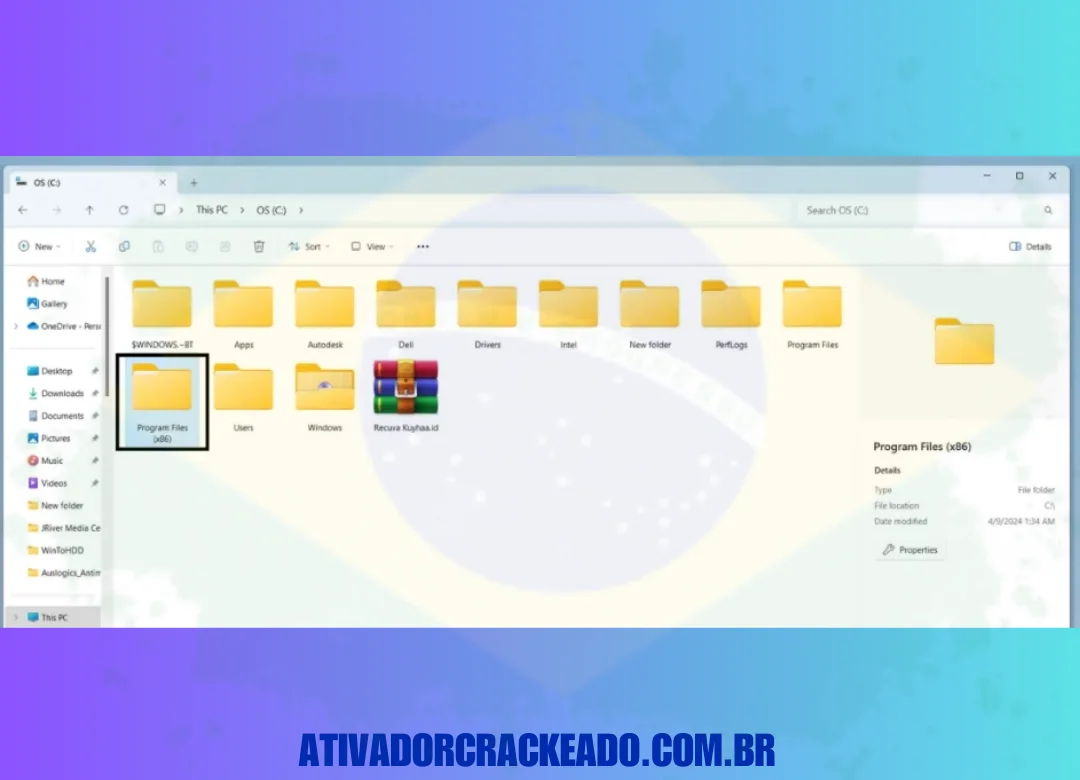 Depois disso, você precisa abrir a pasta Arquivos de Programas no seu sistema.