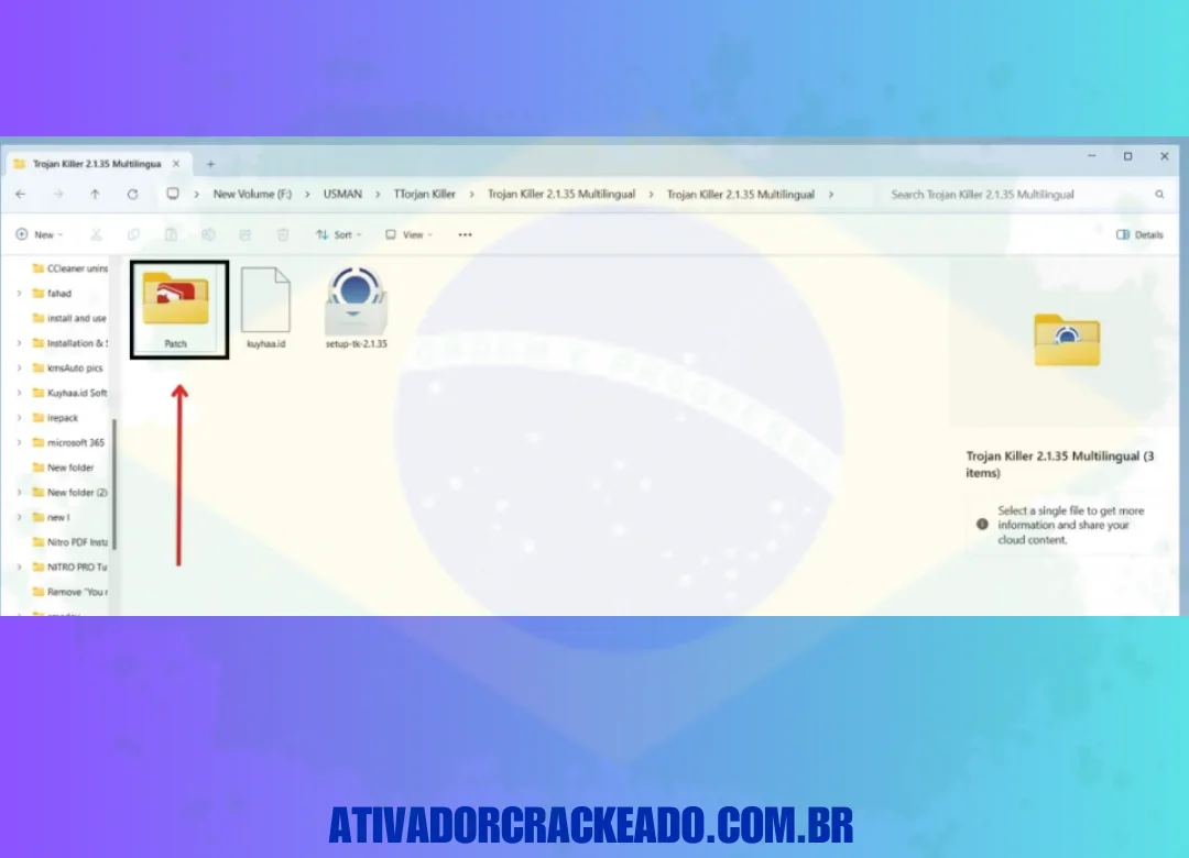 Depois disso, você precisa abrir a pasta deste software no seu sistema. Então, abra a pasta Patch.