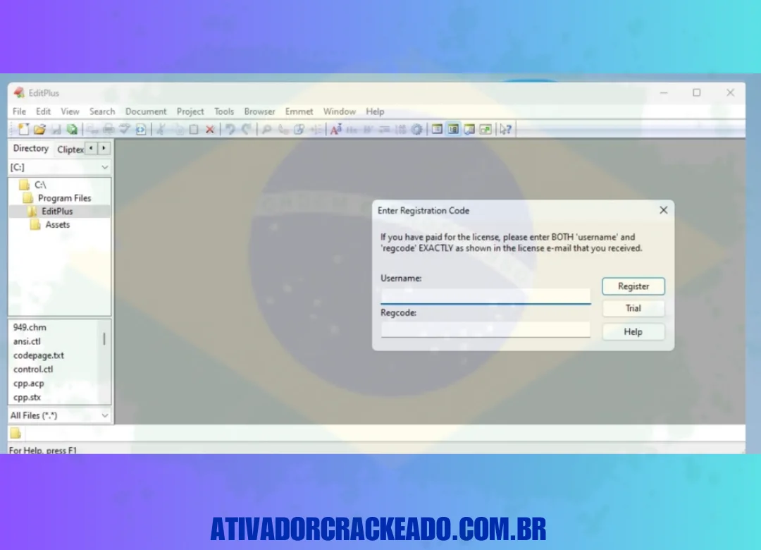 Depois disso, você precisa ativar este software.