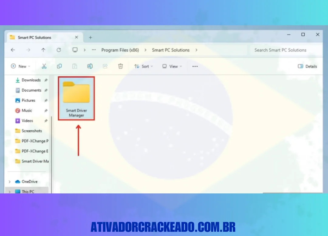 Em seguida, abra a pasta Smart Driver Manager.
