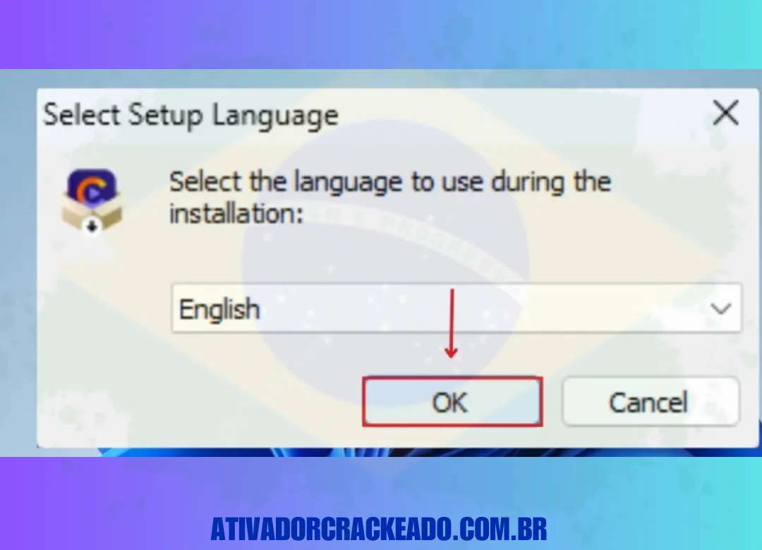 Then select the program language and click 'OK'.