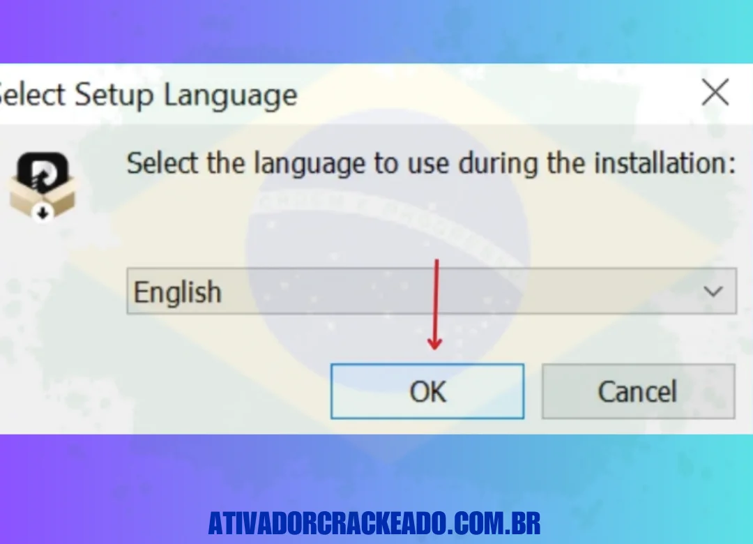 Em seguida, selecione o idioma do programa e clique em 'OK'.