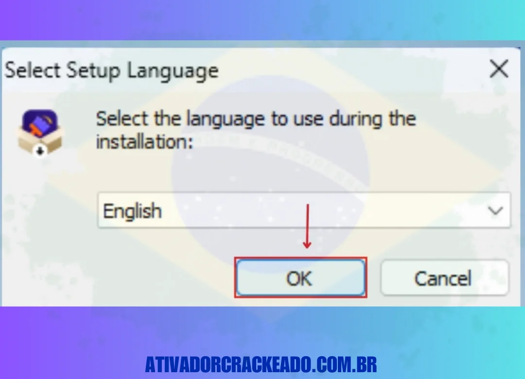 Em seguida, selecione o idioma do programa e clique em 'OK'.