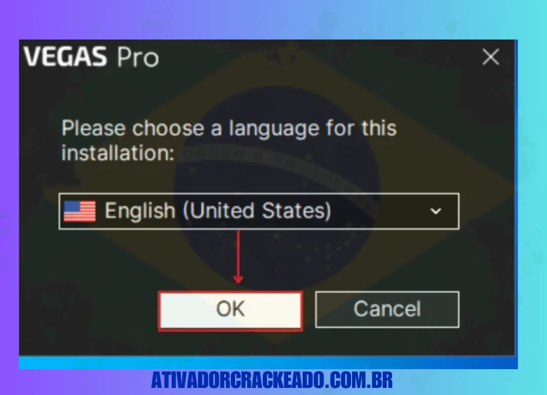 Em seguida, selecione o idioma do programa e clique em 'OK'.