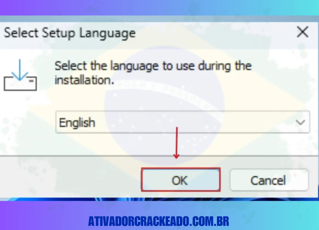 Em seguida, selecione o idioma para configuração.