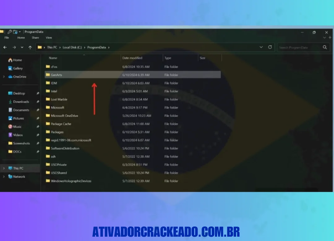 Em seguida, vá para o Disco Local C e abra Dados de Programas e, de lá, abra a pasta chamada 'GenArts'.