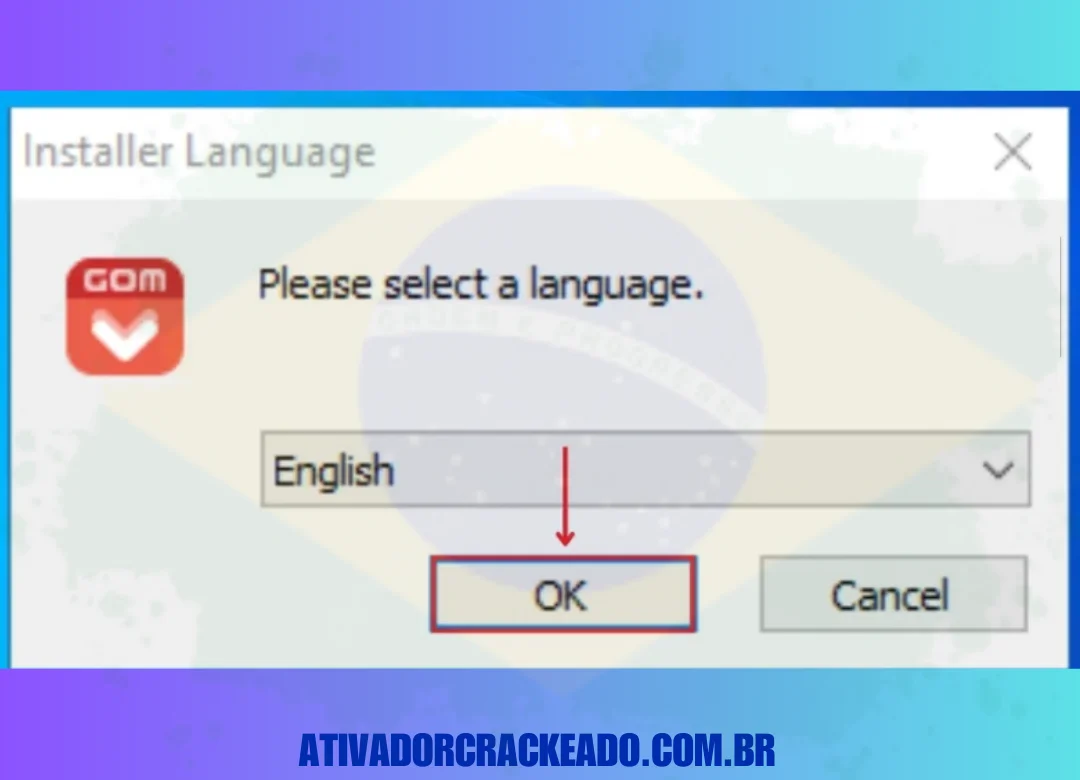 Então, você precisa selecionar o idioma. Depois disso, clique em OK.