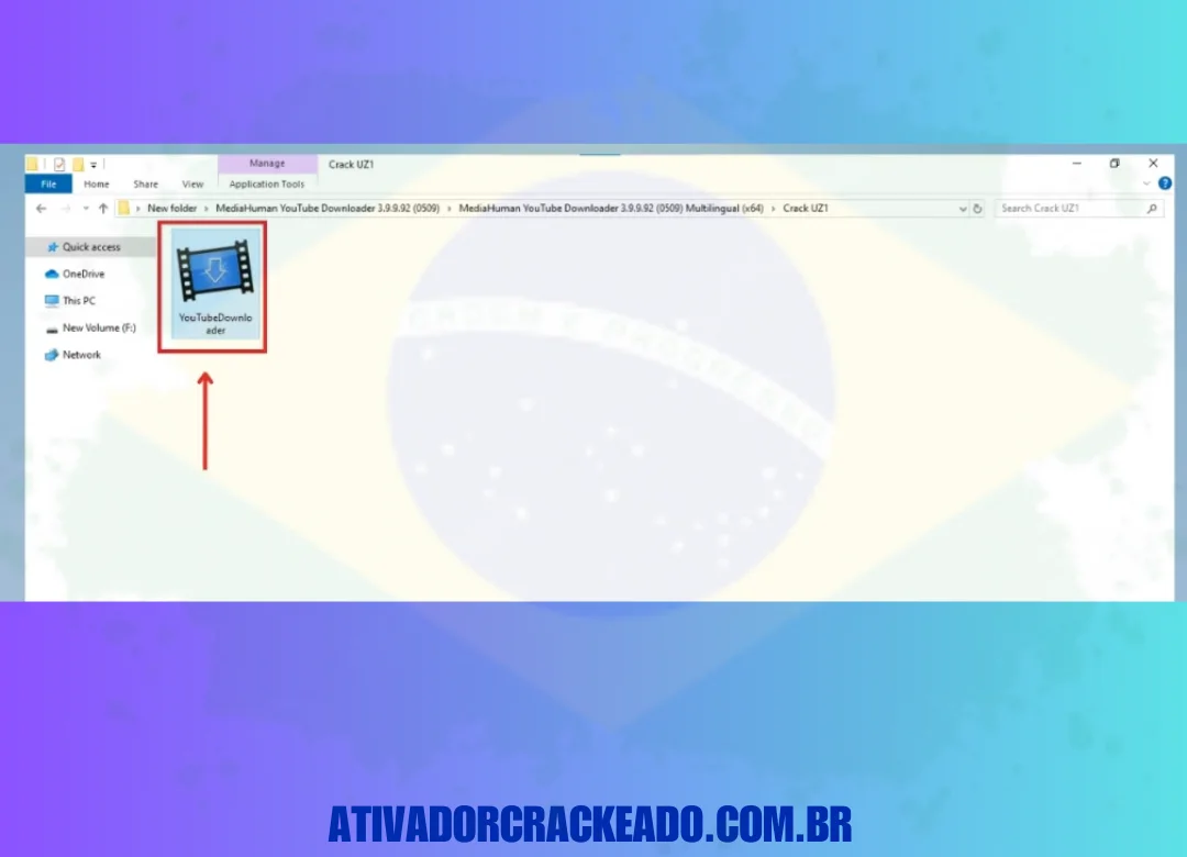 Lá você verá o arquivo exe do crackpatch, basta copiar esse arquivo.