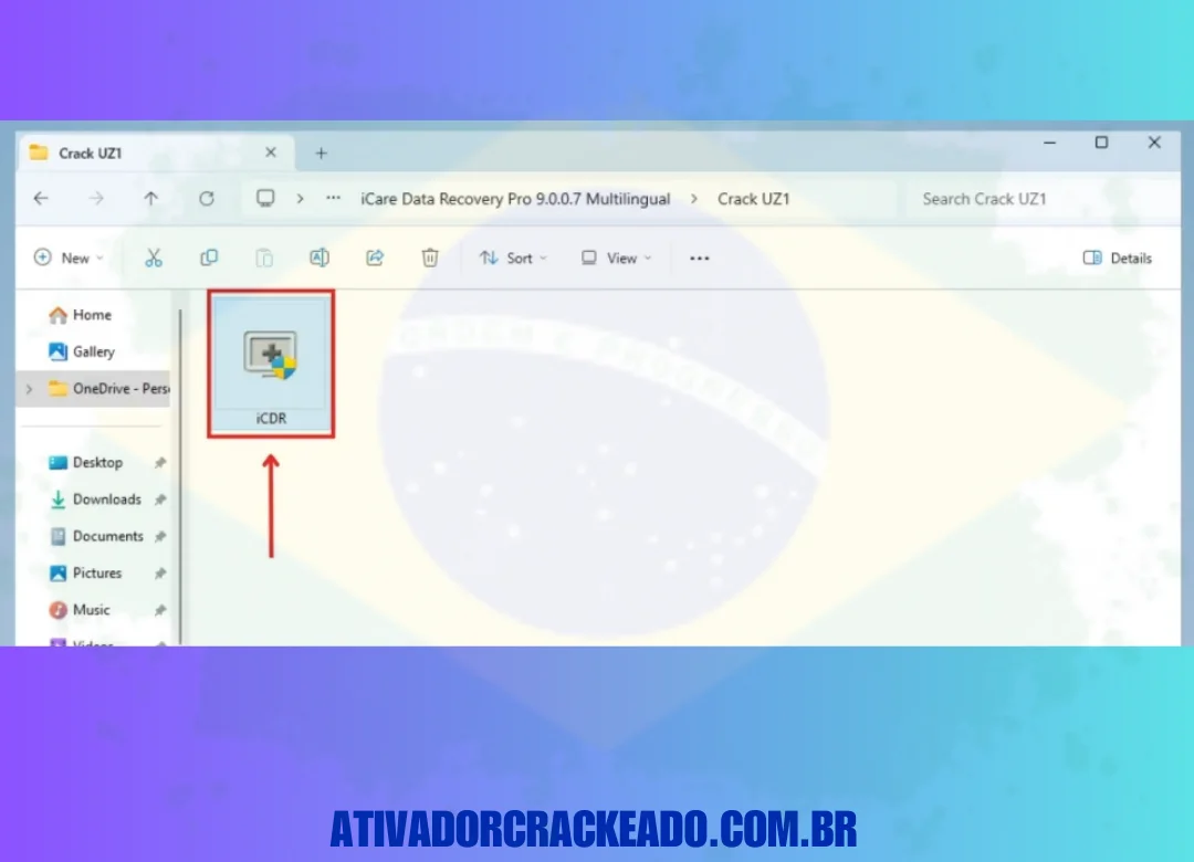 Lá você verá um arquivo exe “iCDR”, copie esse arquivo.