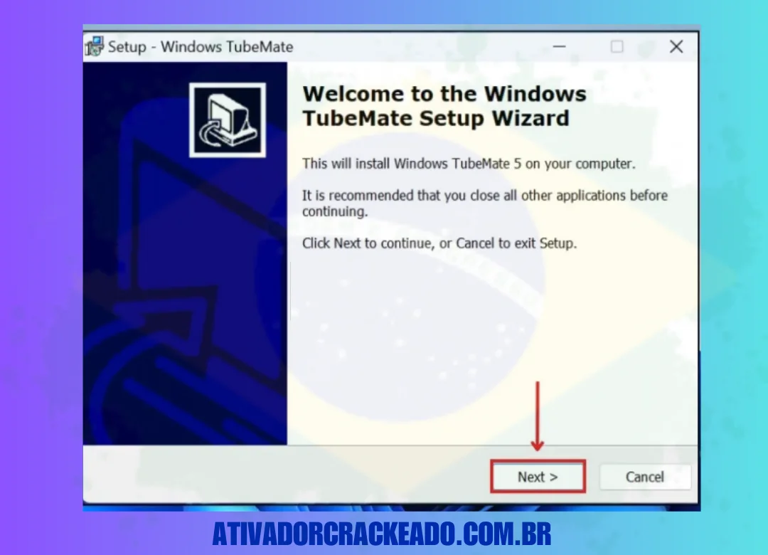 Agora, você verá o Installation Wizard. Então, clique em Next.