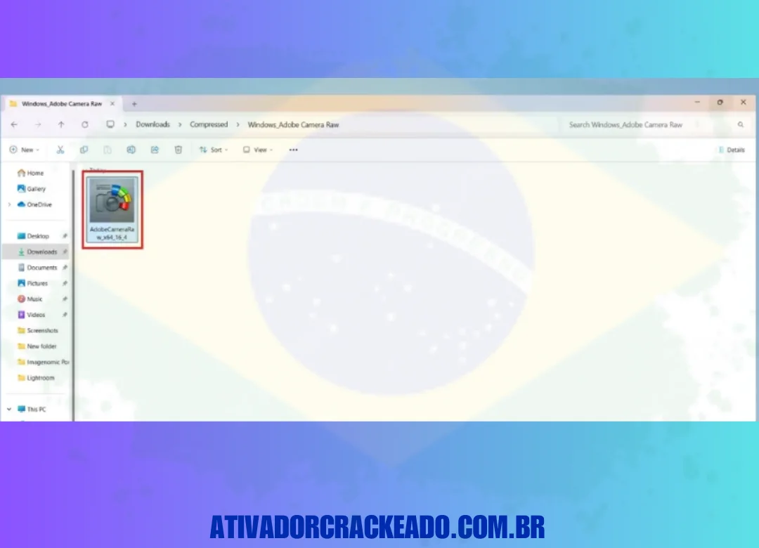 Primeiro, extraia o arquivo baixado e, em seguida, execute o programa setup exe.