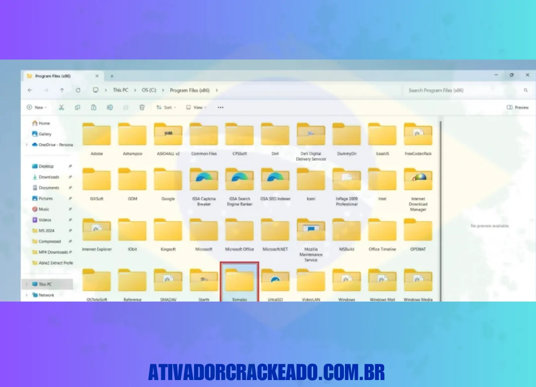 Primeiro, vá até o “diretório Arquivos de Programas” no seu PC e encontre a pasta chamada “Tomato”. Depois, abra esta pasta.