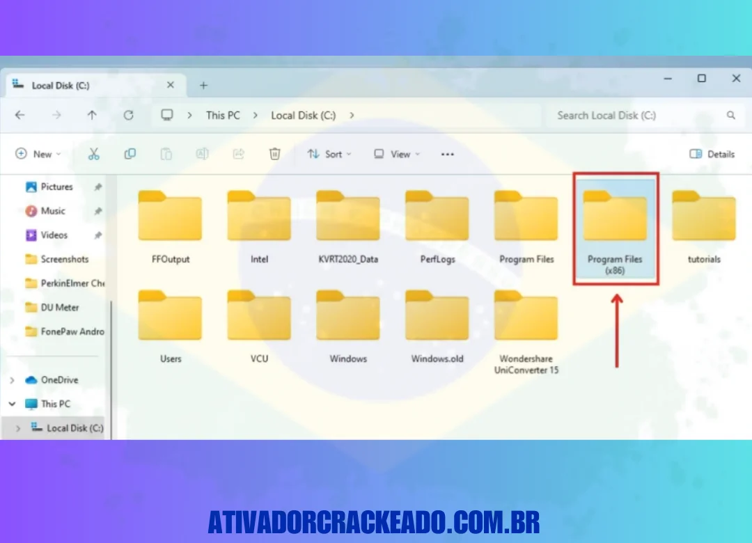 Vá para o Disco Local C e abra a pasta de arquivos de programas (x86).