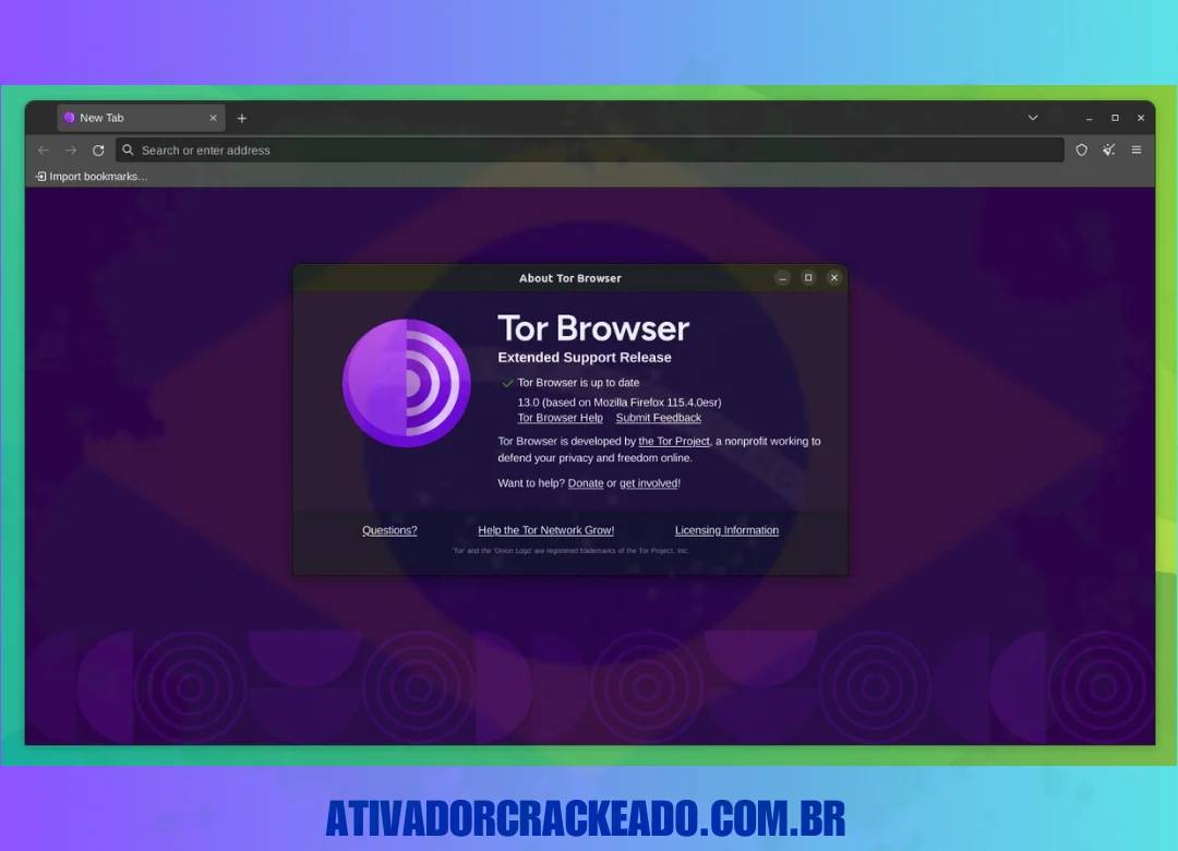 Abra o Tor Browser após a instalação. O botão Conectar será o primeiro item que você verá. Para iniciar o navegador, clique nele.