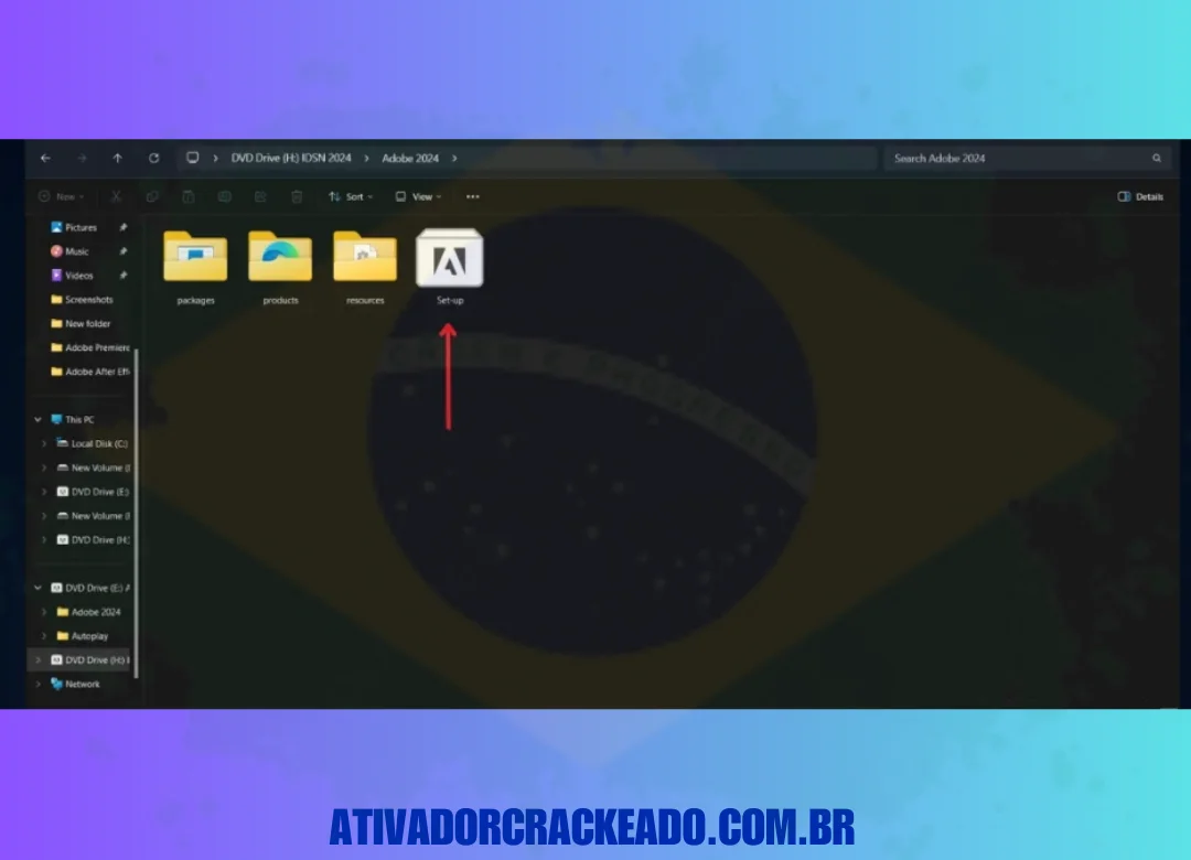 Em seguida, execute a configuração do programa.