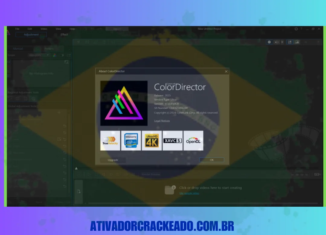 Instale o ativador no mesmo diretório do ColorDirector e execute-o como administrador. Certifique-se de instalar isso no local padrão se você fez isso anteriormente. Após concordar em alterar os arquivos quando solicitado, você pode iniciar o aplicativo.