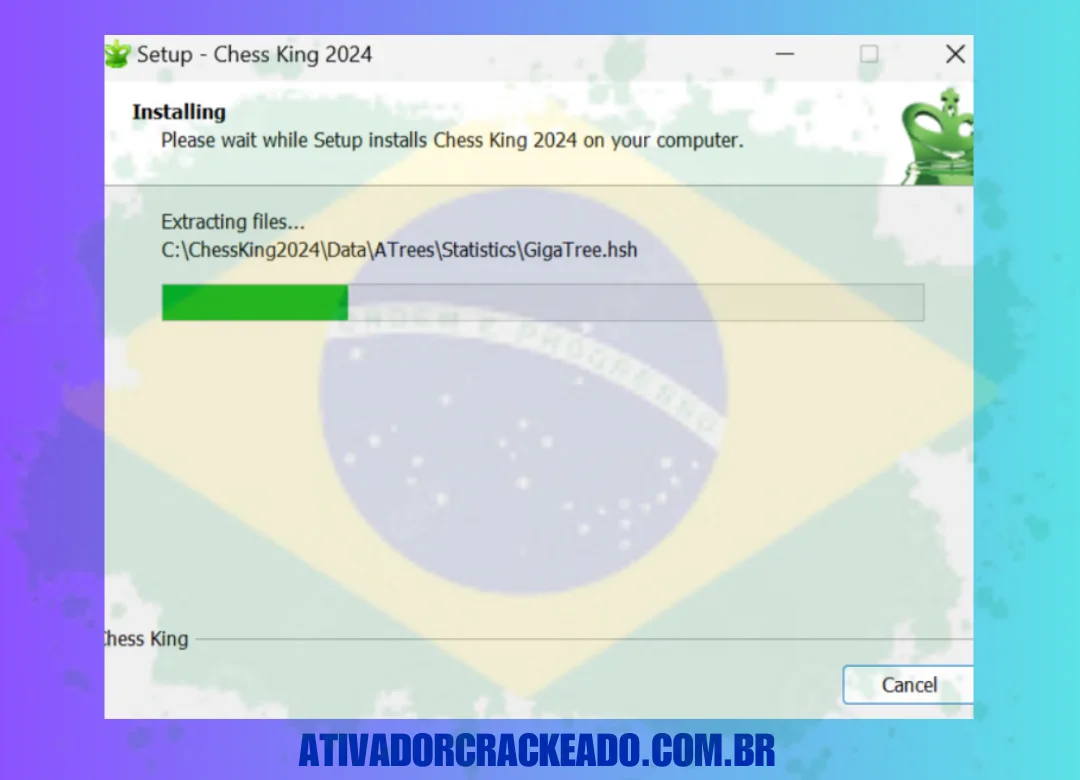 Você pode escrever qualquer nome para a organização e qualquer nome para o usuário.