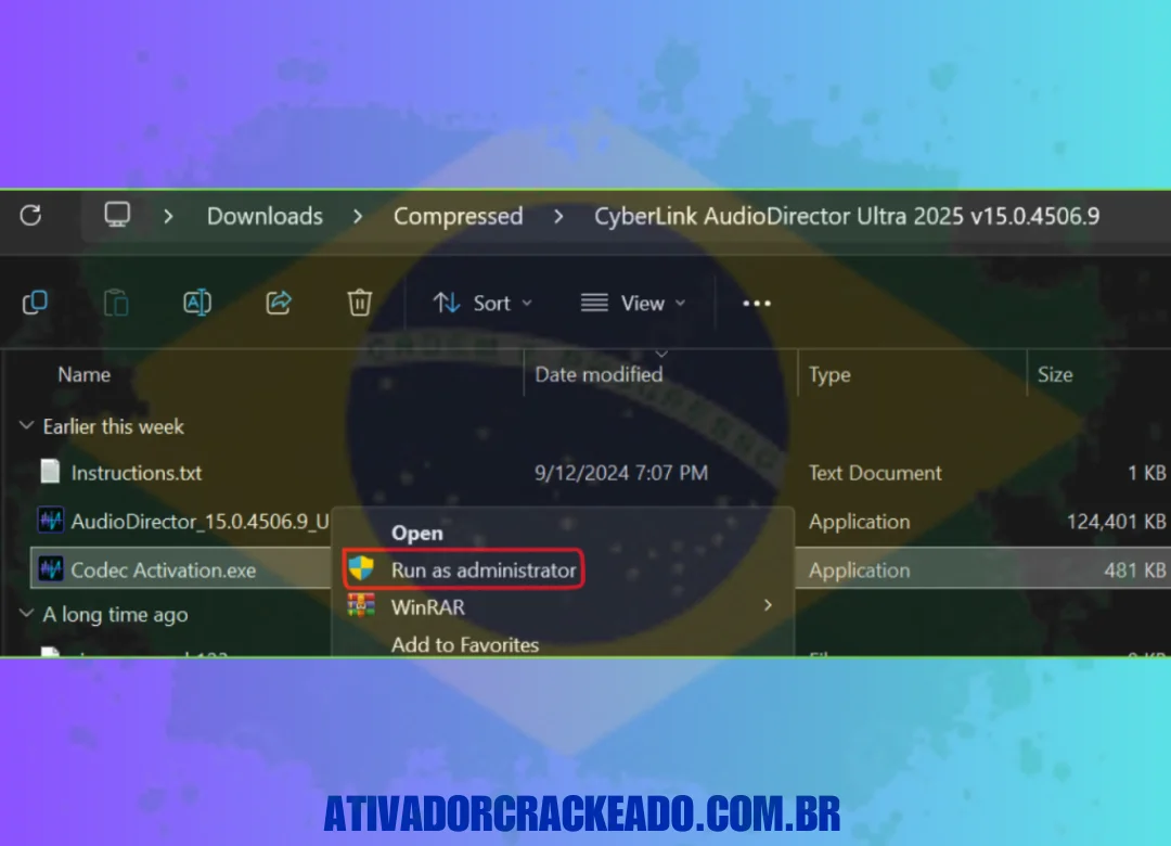 Escolha a mesma pasta de instalação onde você instalou o AudioDirector e execute Codec Activation.exe como administrador.