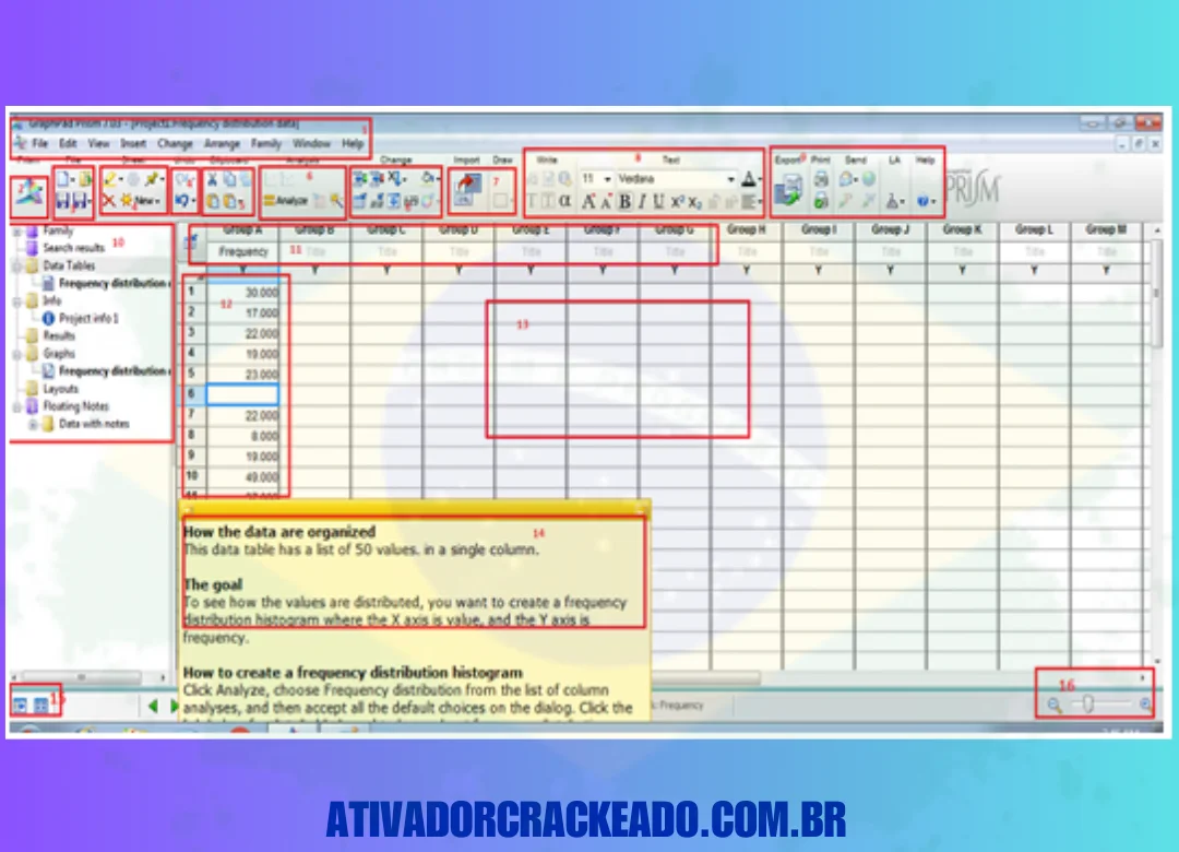 Como usar o software